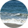 jungletripz.com