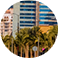jungletripz.com