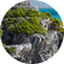 jungletripz.com