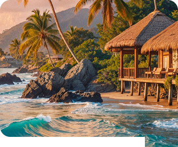 jungletripz.com