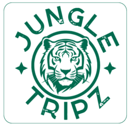 jungletripz.com